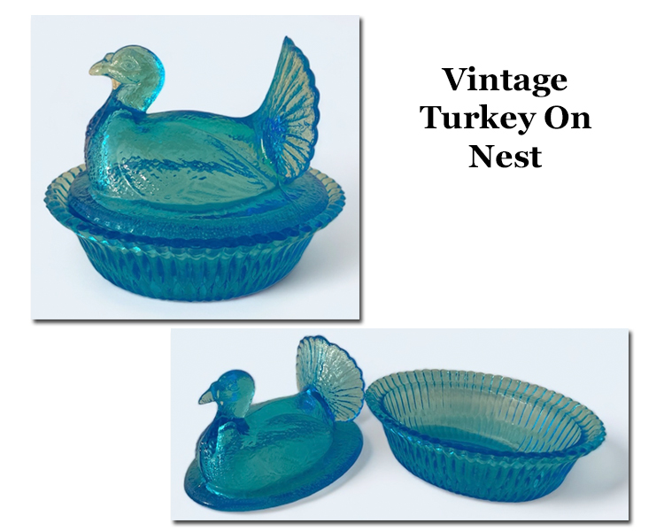 Turkey On Nest