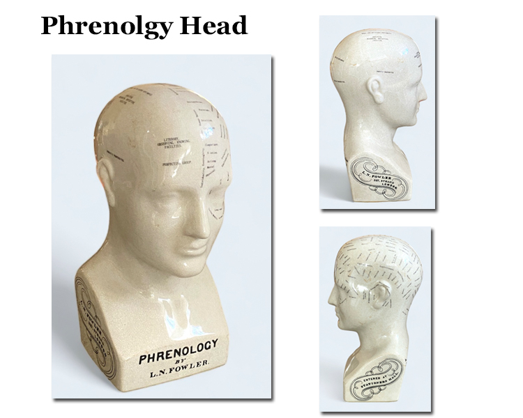 Phrenolgy Head